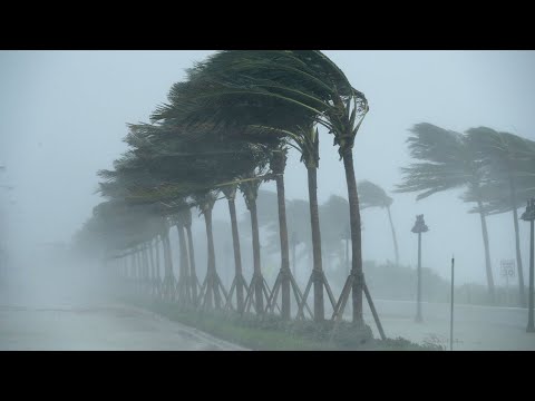 HURRICANE HANNA 2020 JULY 26 HITS TEXAS USA | ROOFS TAKE AWAY FOOTAGE | LANDFALL PADRE ISLAND