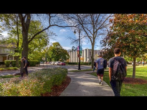 University of St Francis - video