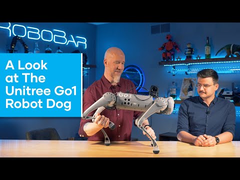 Unitree Go1 Review Video 1