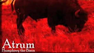Atrum - Dancing at the Dawn of the Apocalypse