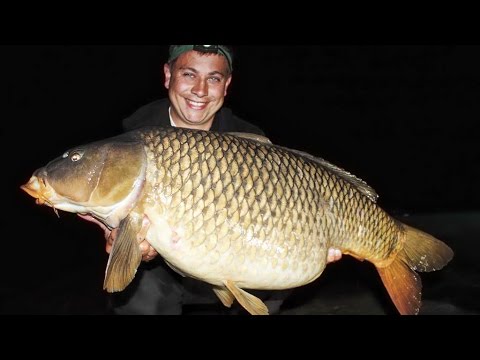 Return to Rainbow - The Ultimate Challenge - Part 2