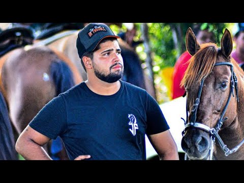 Dois Zero, Até Meu Cavalo Chorou - Henry Freitas e Thulio Milionário [ Clipe Vaquejada ] JV CLIPES