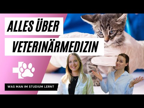Study VETERINARY MEDICINE at VetMed Vienna