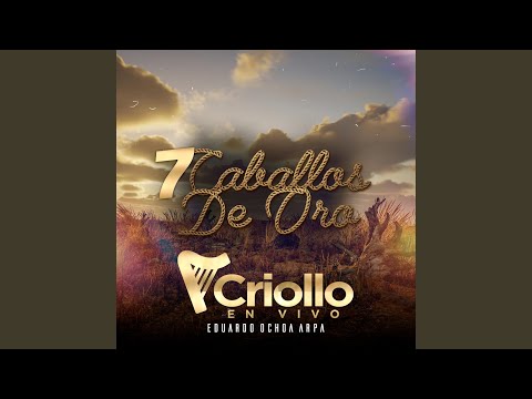 Miguelito Díaz: Apure En Un Viaje / Sentimiento Apureño / La Tristeza del Corral / Mi Lamento...