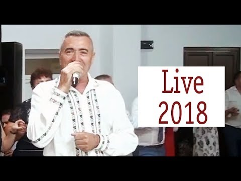 Nelu BITINA - Nou 2018 Colaj hore LIVE