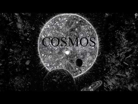 DEATH OF A SALESMAN - COSMOS