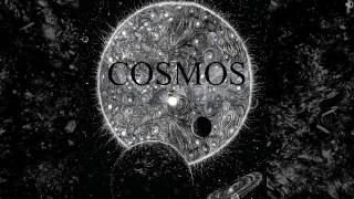 DEATH OF A SALESMAN - COSMOS