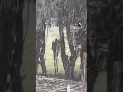 NIEVE EN BUENOS AIRES TORNQUIST SIERRA DE LA VENTANA MULTIMEDIO PRINGLES