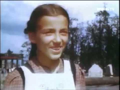 Die Stunde Null Doku (2009)