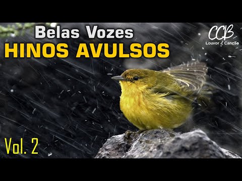 🎵🎸 HINOS AVULSOS CCB 2020 | Belas Vozes Selecionadas - Vol. 2 | As mais belas canções 🎸🎵