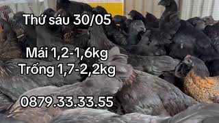 Thứ sáu 30/05