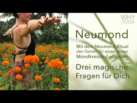 Neumond Ritual - Den Samen für einen neuen Mondkreislauf pflanzen.