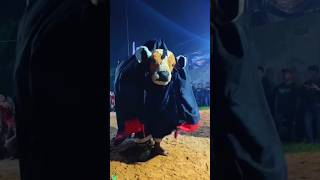 Download lagu Yang mungil mungil😍 #bantengan #gedruk #mberot mp3