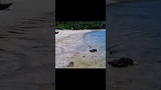 Download lagu SIRUMA BEACH #nature #discoverph #amazingnature #paradisephilippines #natureimages #travel mp3