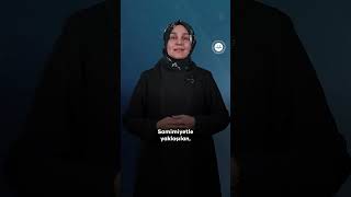 Video 4