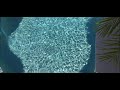 (smooth jazz) summer breeze by Jeff sparks