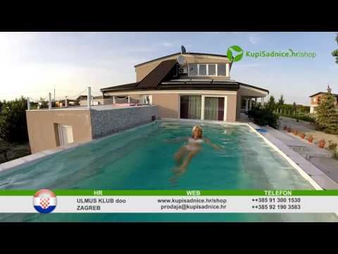 Ulmus Klub Magicna Ziva Ograda Zagreb