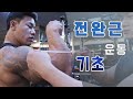 얇은 팔뚝이 고민이세요? 전완근 운동의 기초 !