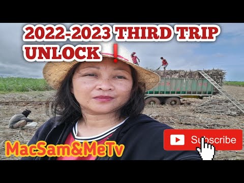 2022-2023 THIRD TRIP UNLOCK❗#sugarcanefarming #buhayprobinsya@macsammetv144@todacares1223