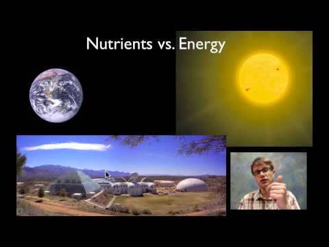 Biogeochemical Cycling