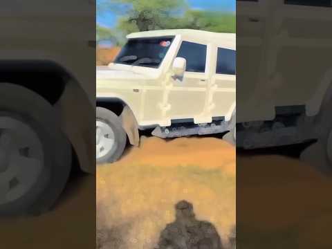 Bolero Camper status 😘 || Bolero Camper lovers 😀 || #short #shorts