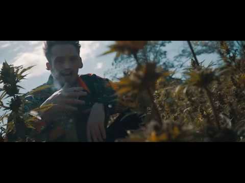 Rapalyse Reaktion - GReeeN - Roll It Up (prod. IrieVibrations)