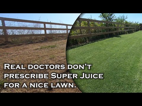 Fix an ugly lawn fast! Super Juice isn't the savior.