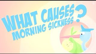 What Causes Morning Sickness?