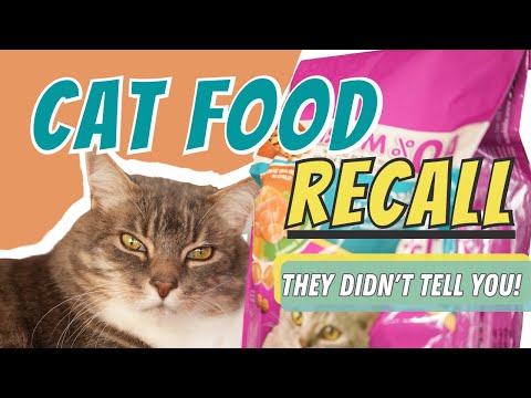Cat Food Recall: What they DIDN'T tell you