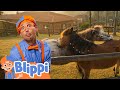 Blippi Pet Zoo Kids Learn Nursery Rhymes Sing Along