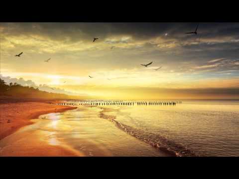 Safi - Wise hand ; Nouri