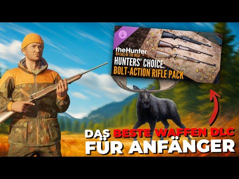 Ist DAS das unterschätzte BESTE DLC für Neueinsteiger in theHunter?! 😱