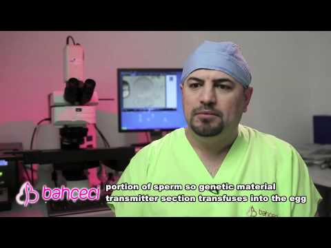 Is there any advantages or disadvantages in microinjection method in comparison with classical IVF method?