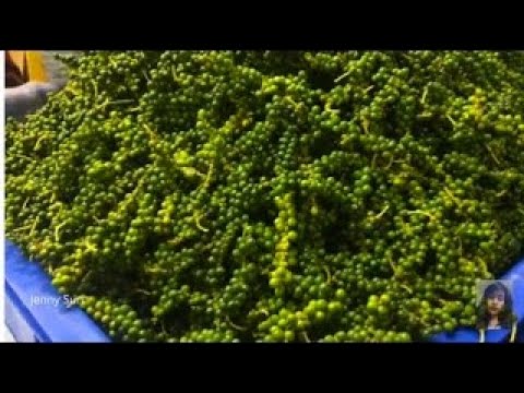 Asian Street Food, Life In Asian Market, Natural living In Cambodian Market, Village Food