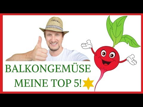 , title : 'Gemüse auf dem Balkon 😋 Meine Top 5 🍅🌶🥒'