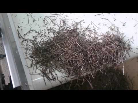 Processing line for rebling and separation