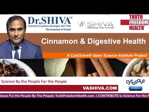 Dr SHIVA™ : Cinnamon on Digestive Health @CytoSolve® Systems Analysis (2/22) - YouTube