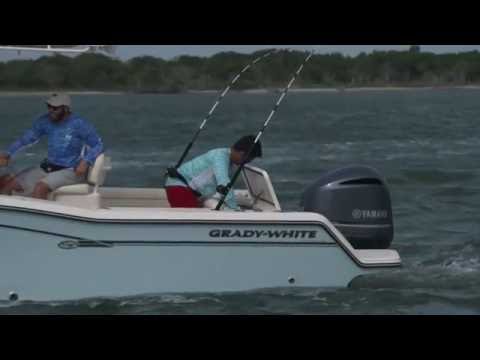 2023 Grady-White Fisherman 236 in Bridgeport, New York - Video 3