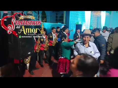 SALAY Orquesta Fantásticos Del Amor Bolognesi Ancash ☎️