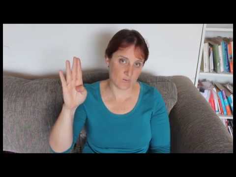 Emotions and Flipping the Lid