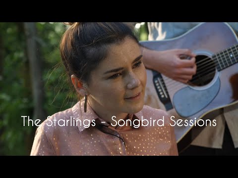 The Starlings - Songbird Session IV