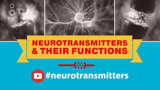 Neurotransmitters And Their Functions Dopamine, Glutamate, Serotonin, Norepinephrine, Epinephrine