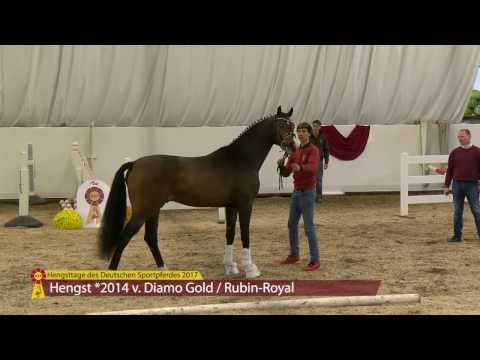 KN 17 v. Diamo Gold - Rubin Royal