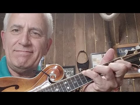 291 RSW Nashville Number System Live