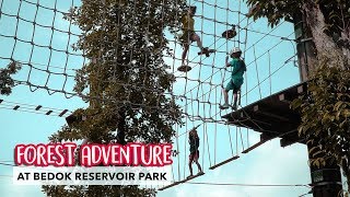 Newly-Revamped Forest Adventure at Bedok Reservoir Park