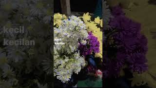 Download lagu BA, Sementara mp3