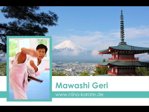 Probiere es mal aus! Grundübungen für Deinen Mawashi Geri!