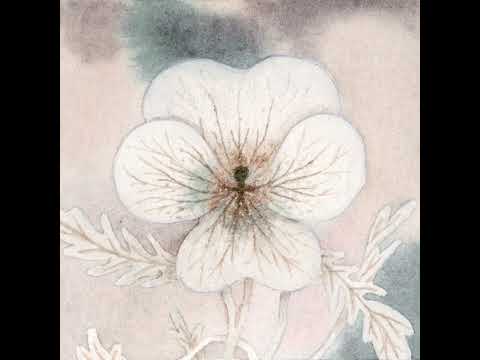 Whitearmor — Eternal hills highest crest (Official Audio)