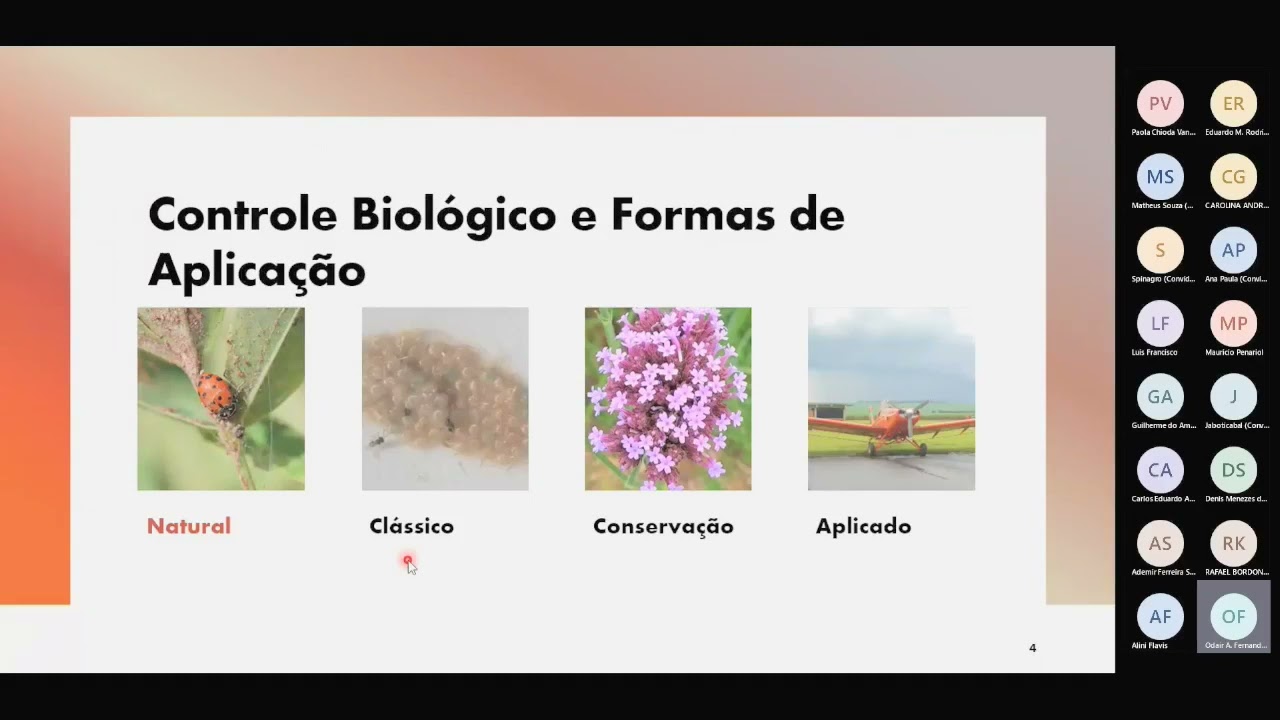 Controle Biológico de Pragas na Cultura do Amendoim
