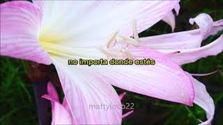 whethan - radar /:sub. español